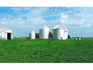 Property photo 2 - 299.26+/- Acres Offered in 2 Tract Land Auction